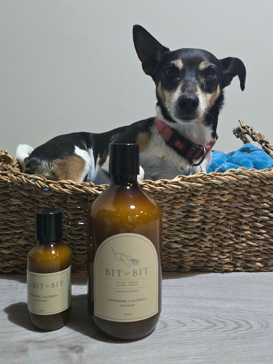 DOG WASH | Lavender + Oatmeal